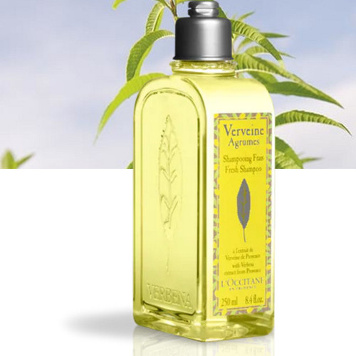 【百联专柜货源】 欧舒丹 清新马鞭草洗发露 500ml