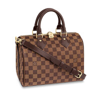 Louis Vuitton 路易威登 女士 SPEEDY 25棋盘格单肩波士顿枕头包N41368
